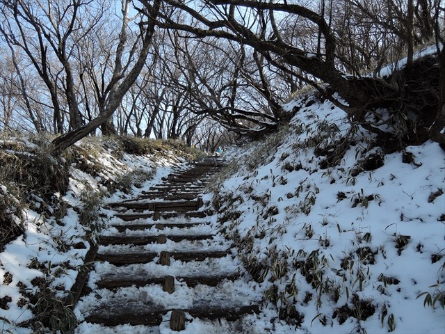 DSCN7126_R