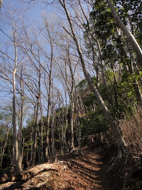 DSC06762_R