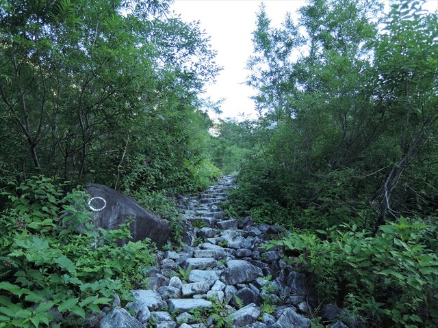 DSCN7949_R