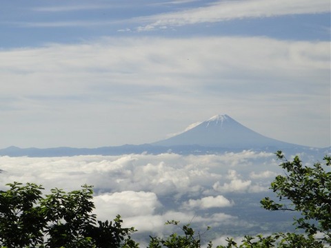 DSC03952