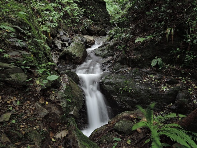 DSCN4230_R