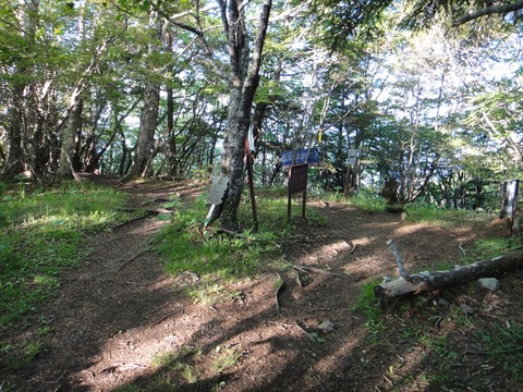 DSC07886_R
