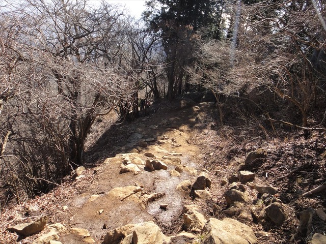 DSC00908_R