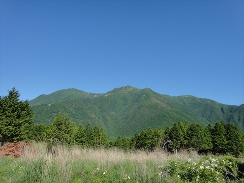 DSC07924_R