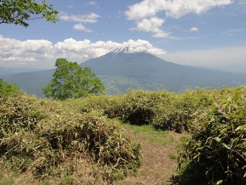 DSC07776_R