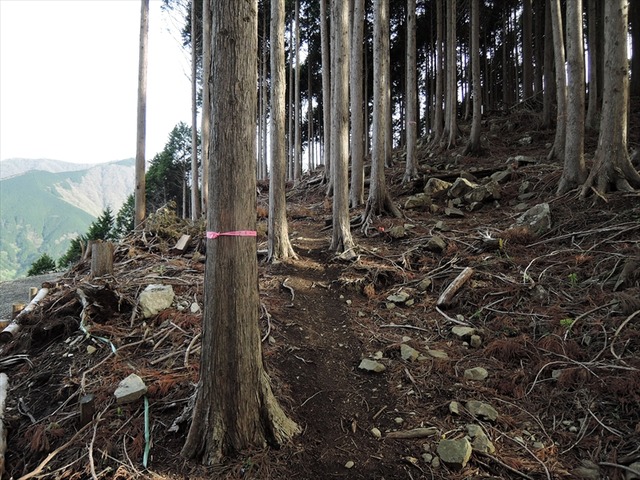 DSCN9825_R