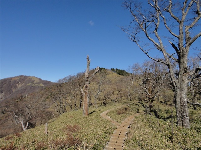 DSC09715_R
