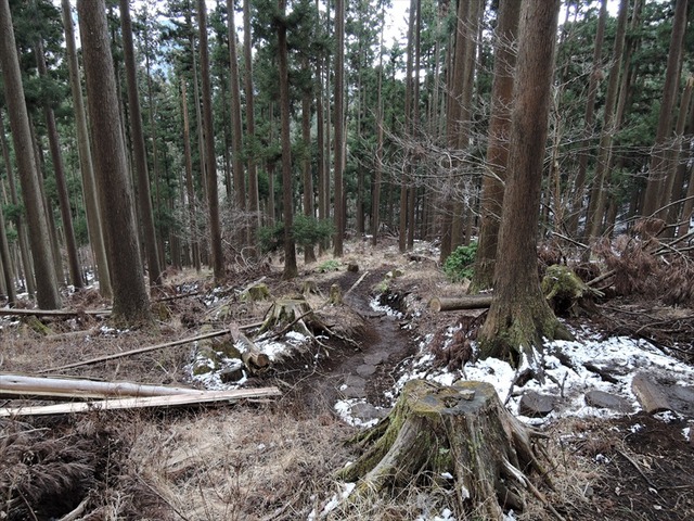 DSCN0198_R