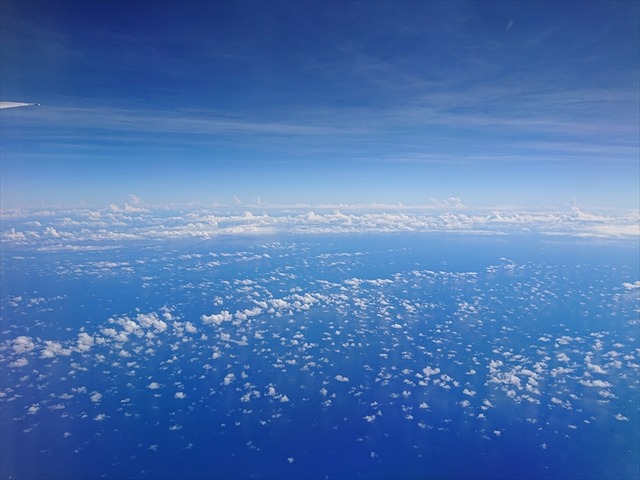 DSC_1236_R