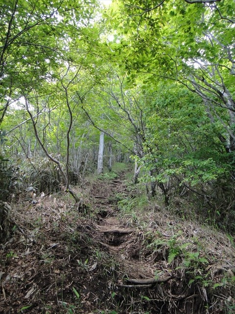 DSC07770_R