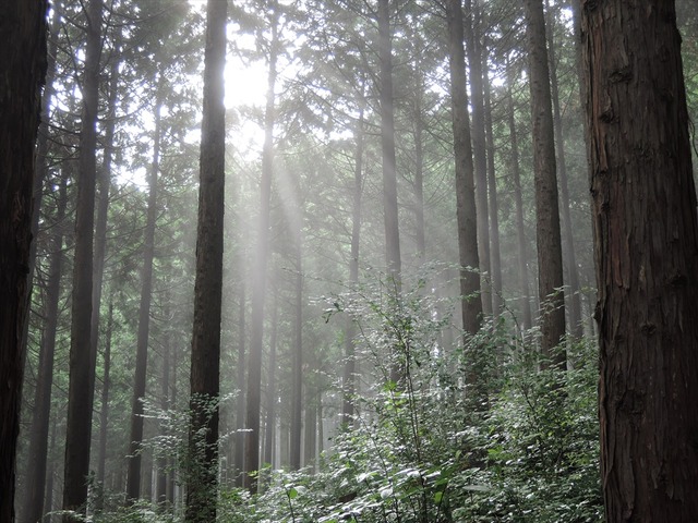 DSCN4195_R