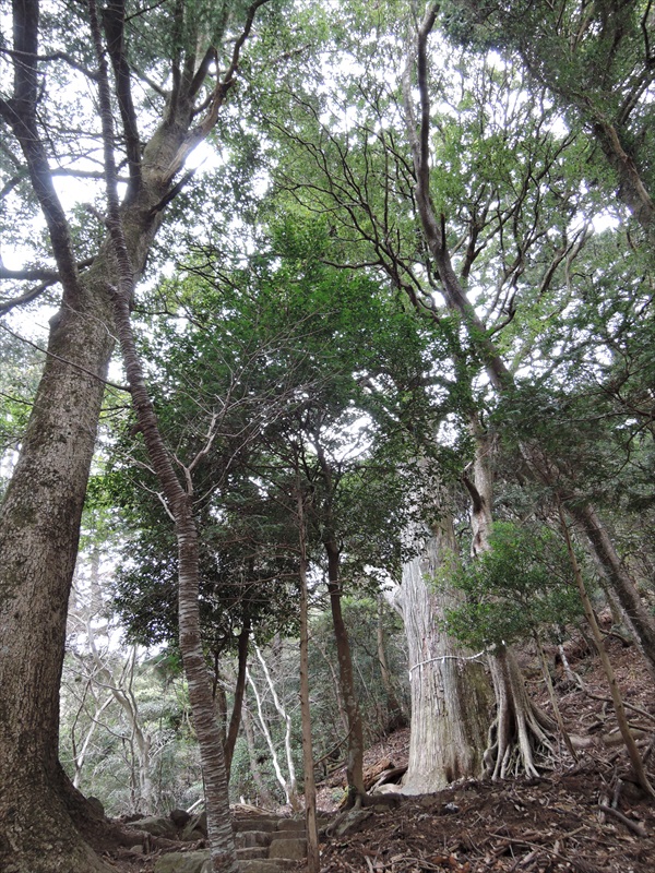 DSCN4357_R