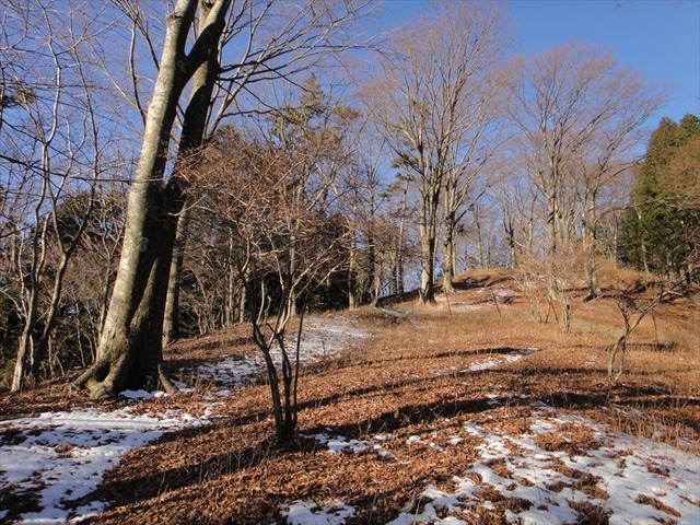 DSC00985_R