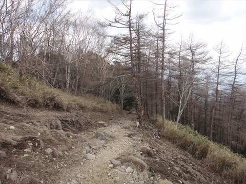 DSC07087_R