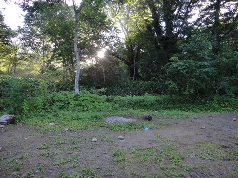 DSC08499_R