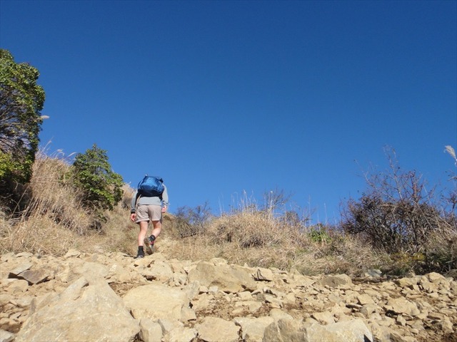 DSC09662_R