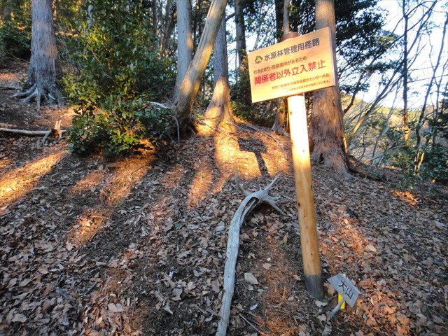 DSC00820_R