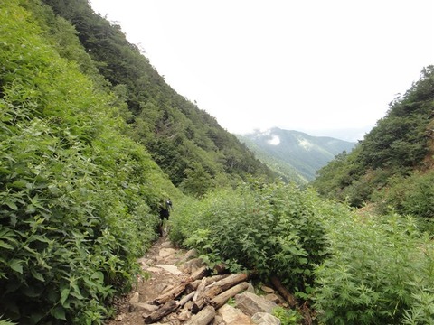 DSC02644