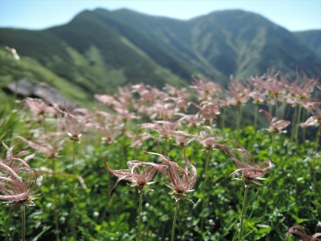 DSCN3128_R