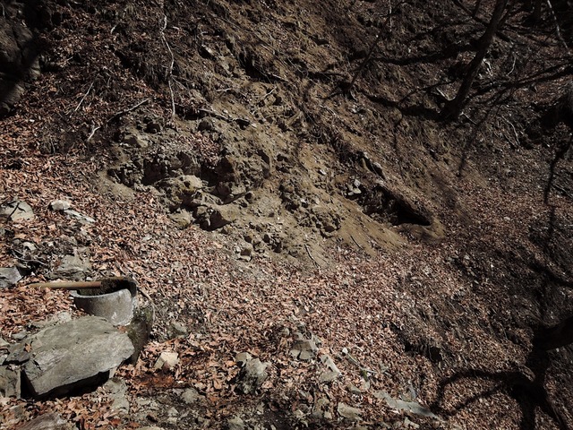 DSCN4016_R