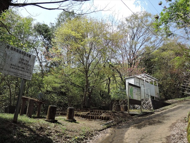 DSCN4842_R