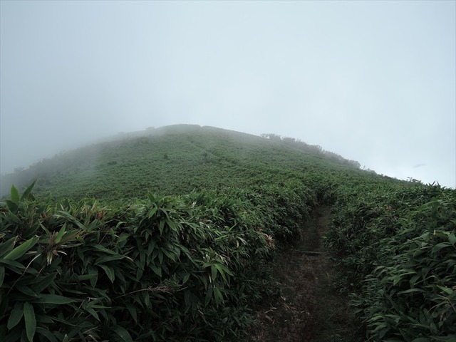 DSCN7902_R