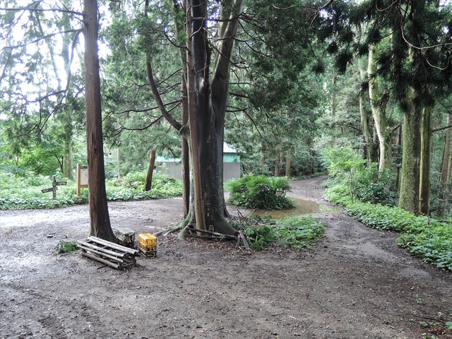 DSCN4192_R