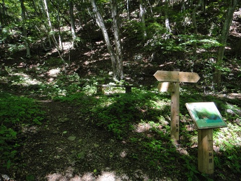 DSC07727_R