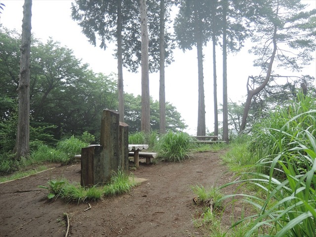 DSCN5424_R