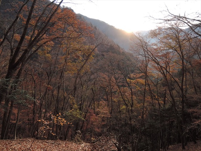 DSCN6623_R
