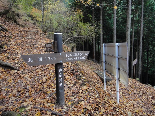 DSC09964_R