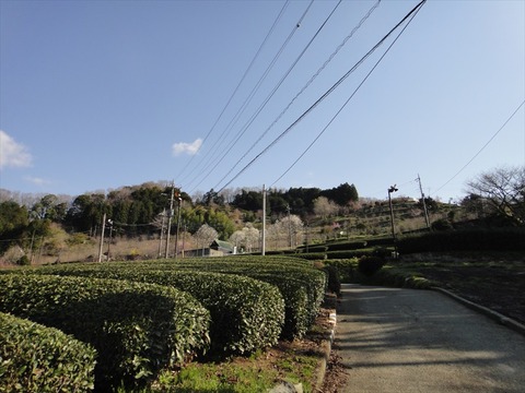 DSC06755_R