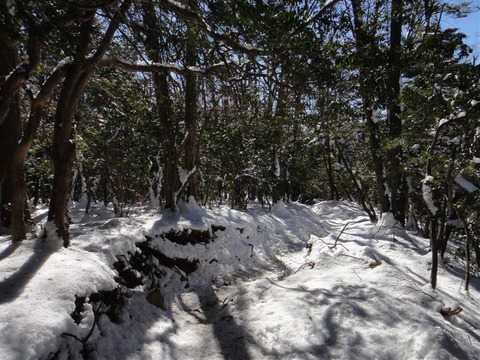 DSC06043