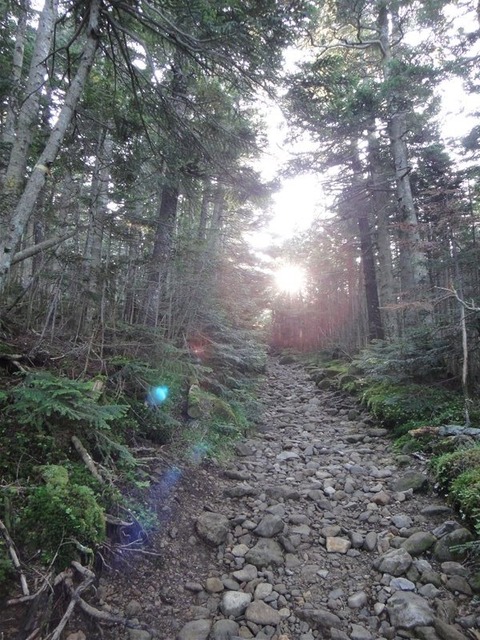 DSC05198