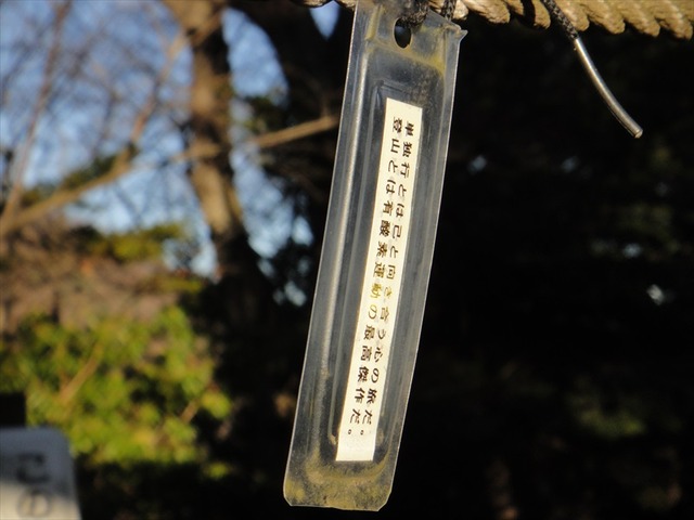 DSC00857_R