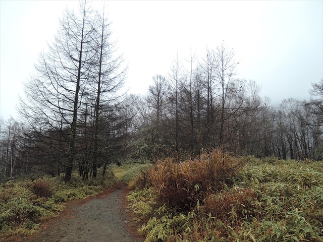 DSCN3350_R