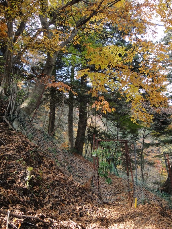 DSC09967_R