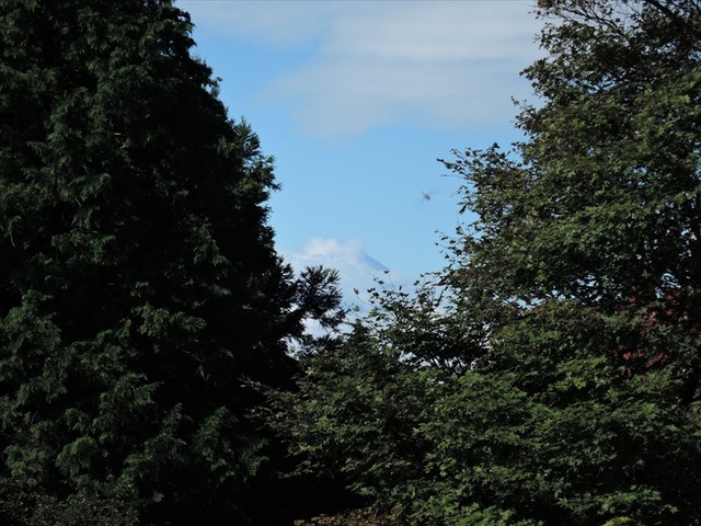 DSCN6017_R