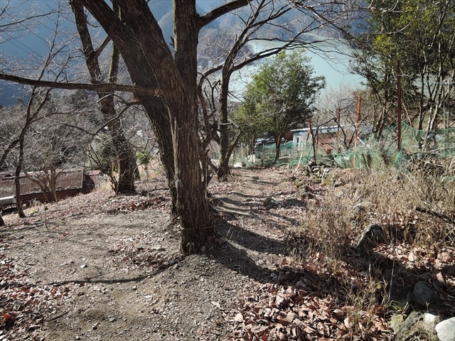 DSCN4118_R