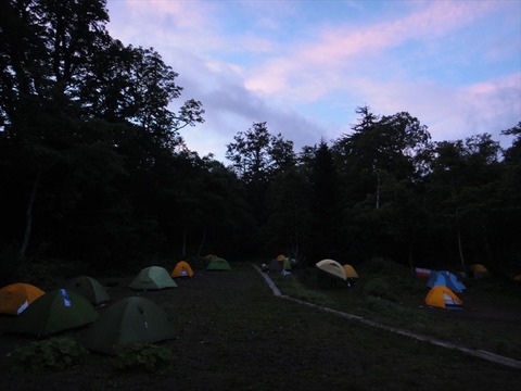 DSC08495_R