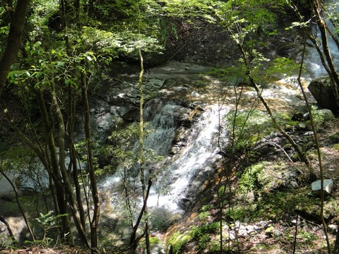 DSC07446_R