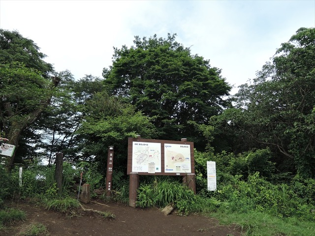 DSCN5445_R