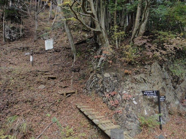 DSC09988_R