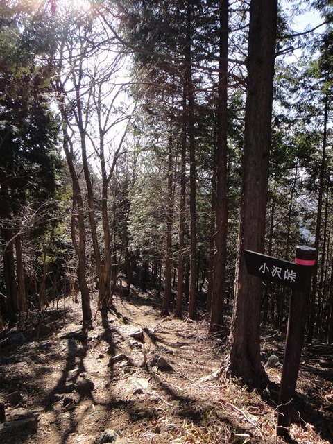 DSC06317