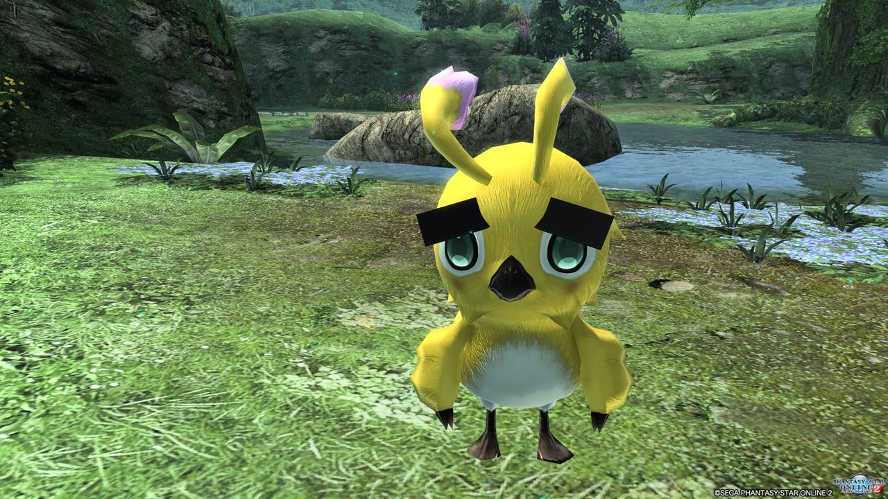 ラッピースーツ ミニ 目隠し線 Sc333のpso2思い出帳