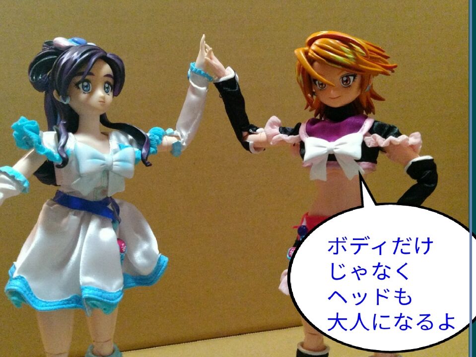 キュアホワイト キュアブラック 1 6ドール ひさびさの続編 フェリとロピの 非 日常 ドールとバイクとキャンプのブログ