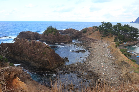 IMG_7924 - コピー