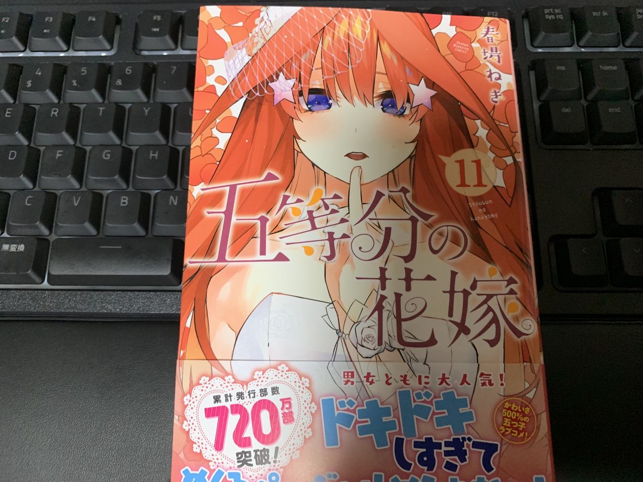かわいい 五等分の花嫁 11巻 発売日です くたくたうみのあーくす日記 かわいい 五等分の花嫁 11巻 発売日です くたくたうみのあーくす日記