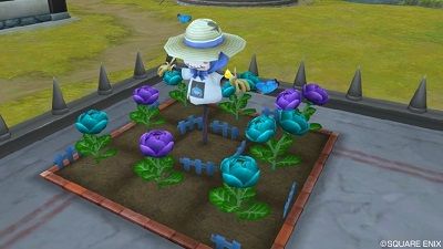 畑 新しいタネから咲くカメリアの花たち 追記有り ひづきのもっさりドラクエ10ブログ 畑 新しいタネから咲くカメリアの花たち 追記有り ひづきのもっさりドラクエ10ブログ