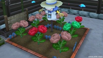 畑 新しいタネから咲くカメリアの花たち 追記有り ひづきのもっさりドラクエ10ブログ 畑 新しいタネから咲くカメリアの花たち 追記有り ひづきのもっさりドラクエ10ブログ